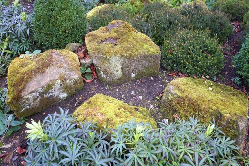 Mulch and garden bed refresh